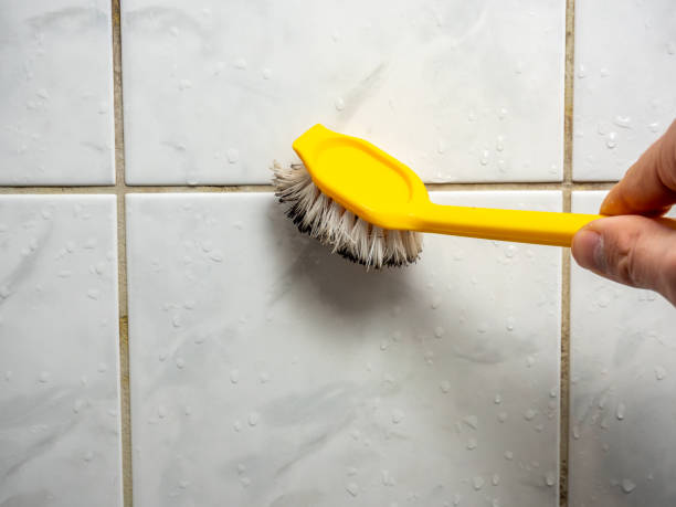 Best Best Mold Removal Companies  in Bayard, NM