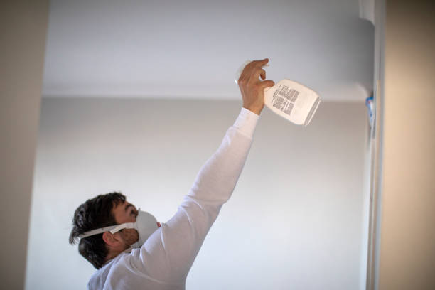 Best Home Mold Removal  in Bayard, NM